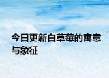 今日更新白草莓的寓意与象征