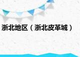 浙北地区（浙北皮革城）