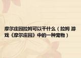 摩尔庄园拉姆可以干什么（拉姆 游戏《摩尔庄园》中的一种宠物）