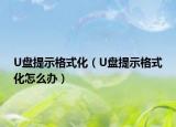 U盘提示格式化（U盘提示格式化怎么办）