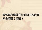 钕铁硼永磁体在长时间工作后会不会消磁（消磁）