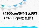 t4300cpu支持什么内存（t4300cpu怎么样）