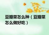 豆瓣菜怎么种（豆瓣菜怎么做好吃）