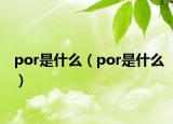 por是什么（por是什么）