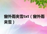 窗外雨夹雪txt（窗外雨夹雪）
