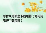 怎样从电驴里下载电影（如何用电驴下载电影）