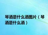 琴酒是什么酒图片（琴酒是什么酒）