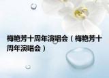 梅艳芳十周年演唱会（梅艳芳十周年演唱会）