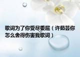 歌词为了你受尽委屈（许茹芸你怎么舍得伤害我歌词）