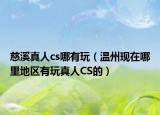 慈溪真人cs哪有玩（温州现在哪里地区有玩真人CS的）
