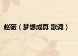 赵薇（梦想成真 歌词）