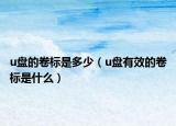 u盘的卷标是多少（u盘有效的卷标是什么）