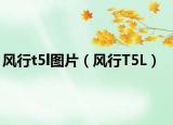 风行t5l图片（风行T5L）