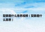复眼是什么意思视频（复眼是什么意思）