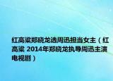 红高粱郑晓龙选周迅担当女主（红高粱 2014年郑晓龙执导周迅主演电视剧）