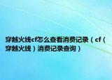 穿越火线cf怎么查看消费记录（cf（穿越火线）消费记录查询）
