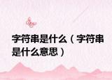 字符串是什么（字符串是什么意思）