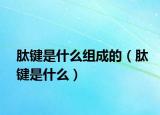 肽键是什么组成的（肽键是什么）