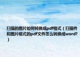 扫描的图片如何转换成pdf格式（扫描件和图片格式的pdf文件怎么转换成word?）