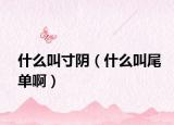 什么叫寸阴（什么叫尾单啊）