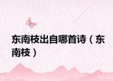 东南枝出自哪首诗（东南枝）