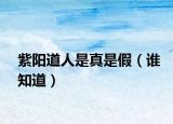 紫阳道人是真是假（谁知道）