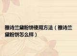 雅诗兰黛粉饼使用方法（雅诗兰黛粉饼怎么样）