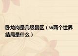 卧龙岗是几级景区（w两个世界结局是什么）