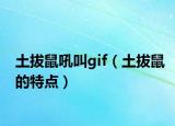 土拔鼠吼叫gif（土拔鼠的特点）