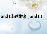 and1街球集锦（and1）