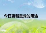 今日更新蚕粪的用途