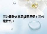 三公是什么意思饭圈用语（三公是什么）