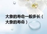 大象的寿命一般多长（大象的寿命）