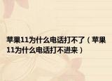 苹果11为什么电话打不了（苹果11为什么电话打不进来）