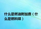 什么是燃油附加费（什么是燃料煤）