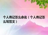 个人传记怎么命名（个人传记怎么写范文）