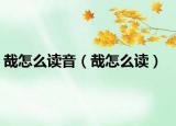 哉怎么读音（哉怎么读）