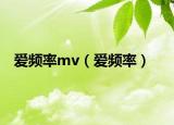 爱频率mv（爱频率）