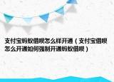 支付宝蚂蚁借呗怎么样开通（支付宝借呗怎么开通如何强制开通蚂蚁借呗）