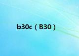 b30c（B30）