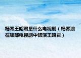 杨幂王昭君是什么电视剧（杨幂演在哪部电视剧中饰演王昭君）