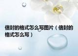 信封的格式怎么写图片（信封的格式怎么写）