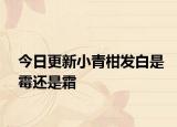 今日更新小青柑发白是霉还是霜