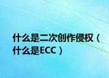 什么是二次创作侵权（什么是ECC）