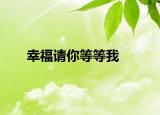 幸福请你等等我
