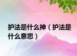 护法是什么神（护法是什么意思）