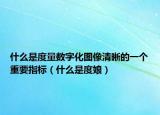 什么是度量数字化图像清晰的一个重要指标（什么是度娘）
