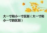 大一寸和小一寸区别（大一寸和小一寸的区别）