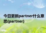 今日更新partner什么意思(partner)