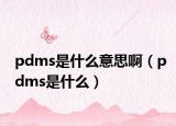 pdms是什么意思啊（pdms是什么）